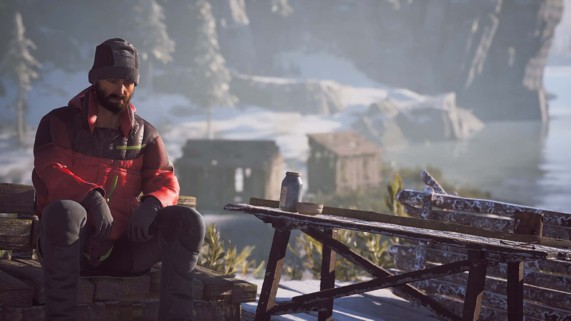 冬日幸存者 Winter Survival 中文版背景